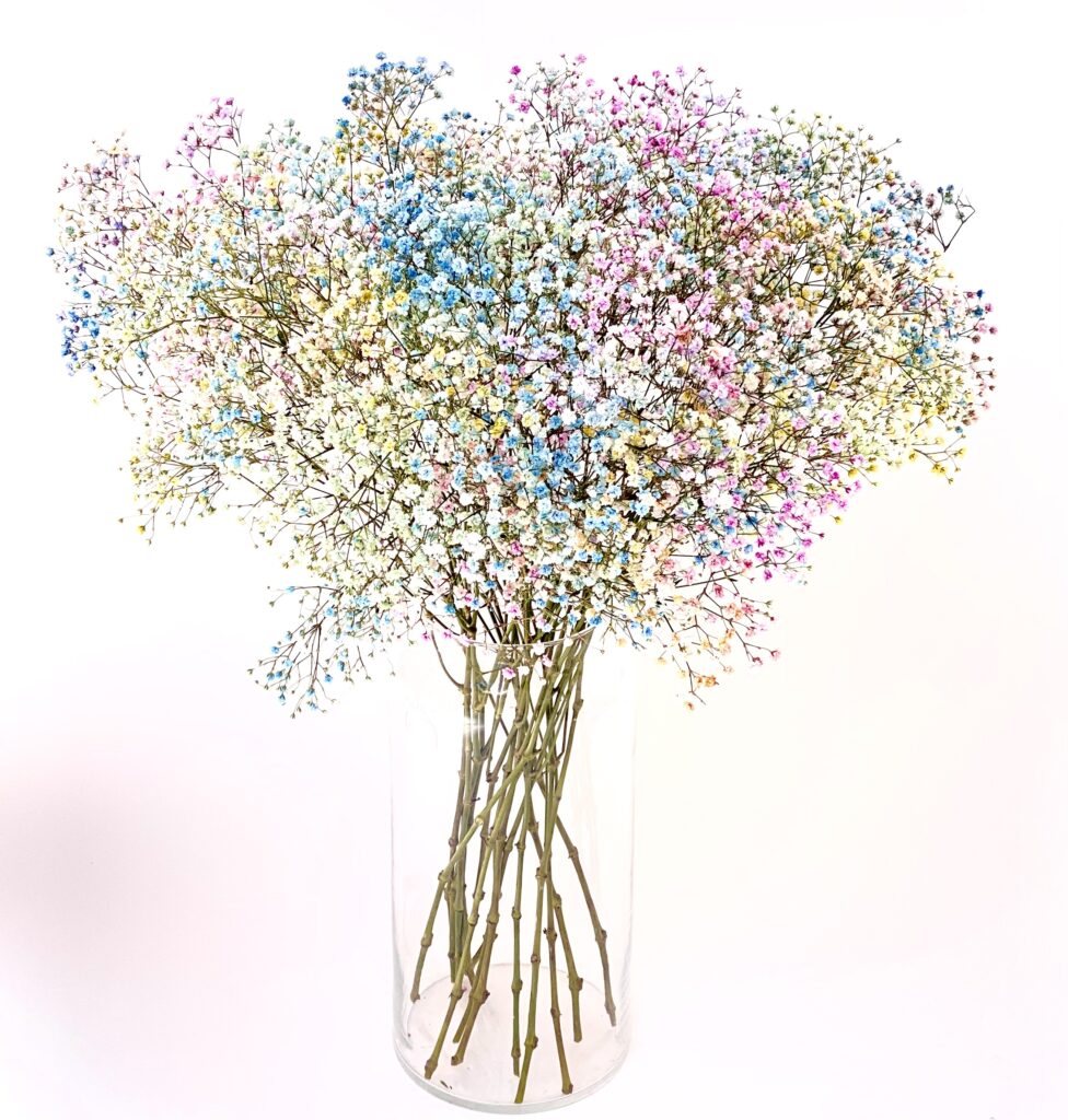 Gekleurd Gipskruid Bloemen Boeket Bestellen